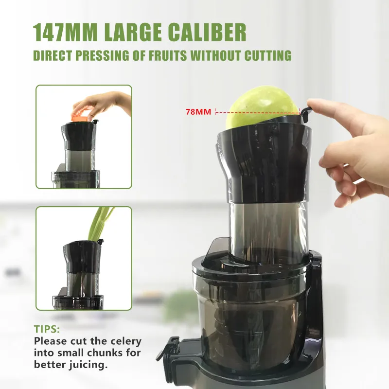 Profesjonalna elektryczna wyci – Electric Slow Juicer Cold Press recenzja i cena